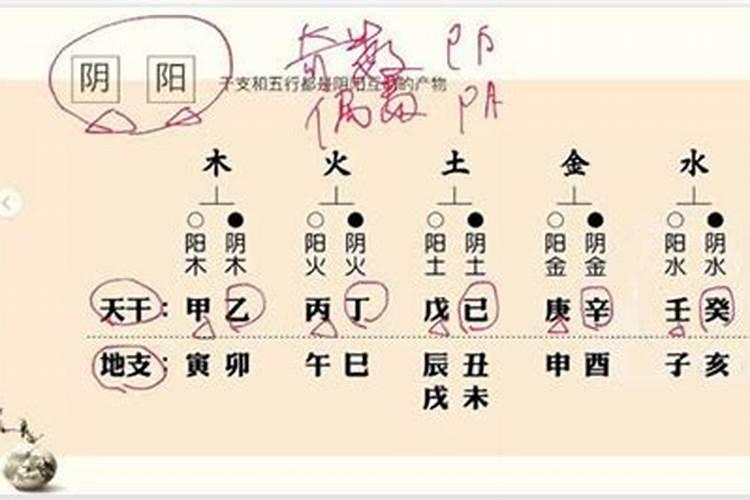 八字相合怎么看婚姻