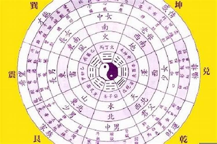 怎么看八字里的财星财库