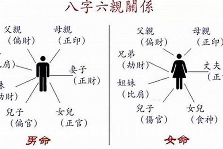 八字查询合婚