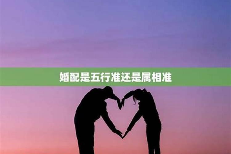 婚配是按生肖五行来的吗