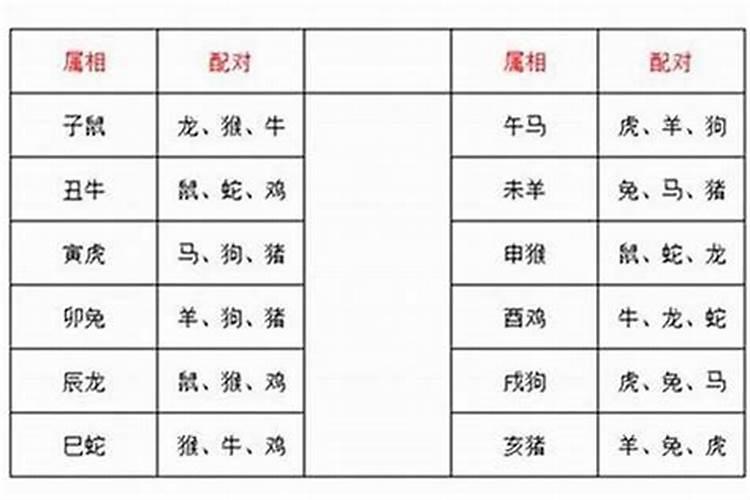 相刑生肖有哪些