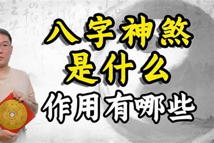 事业运好的女命八字特点