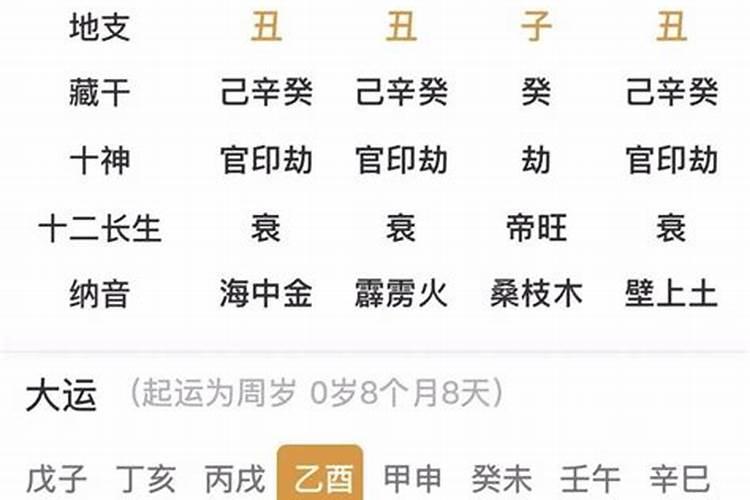 八字地支子丑合代表什么