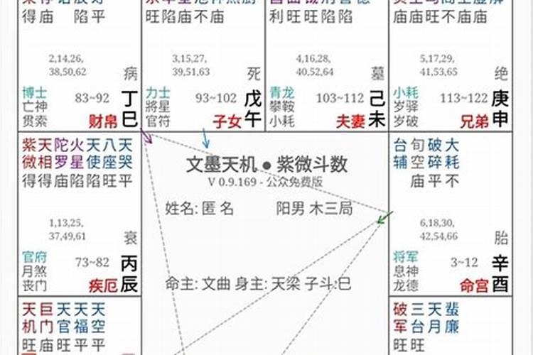 紫微斗数夫妻宫天月