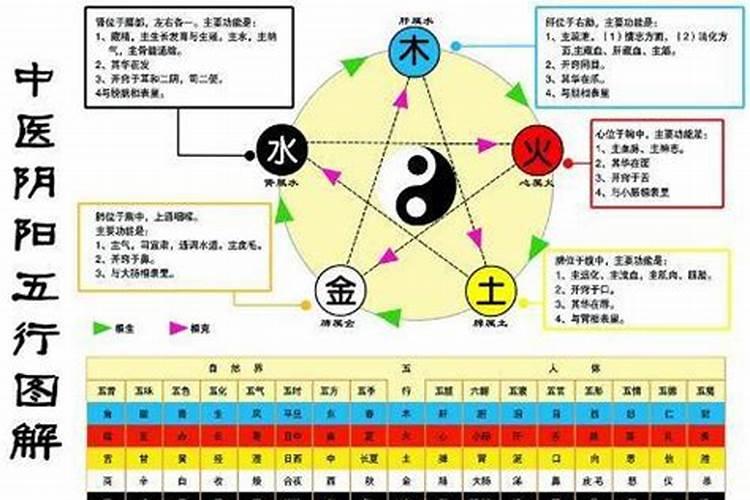 什么是五行水命和金命的关系