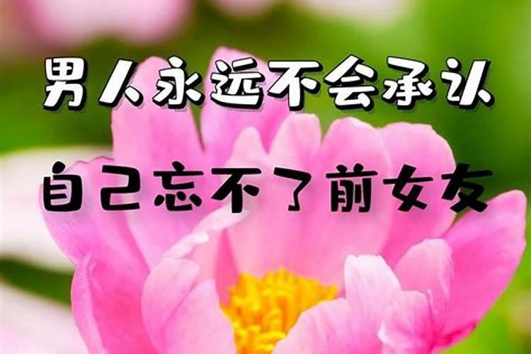 女出轨后悔疯狂挽回男友