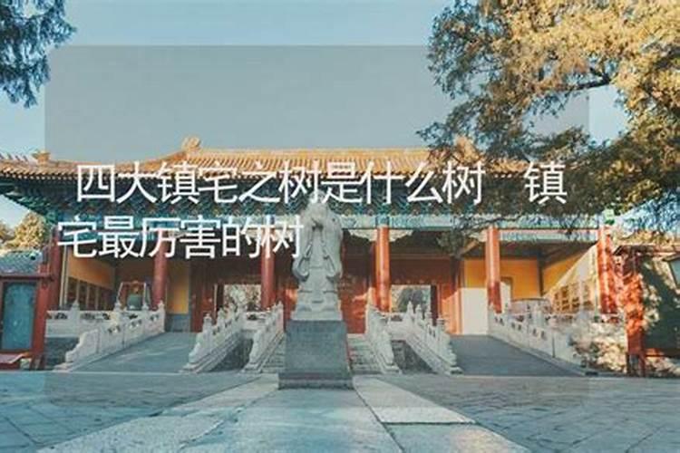 卯地支属性为木，合