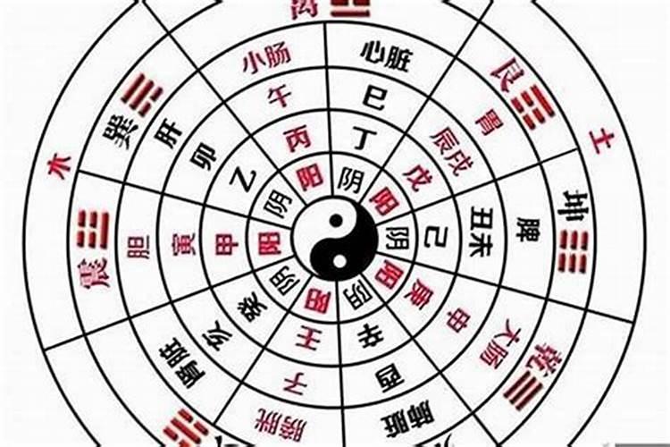 八字怎样看阴阳