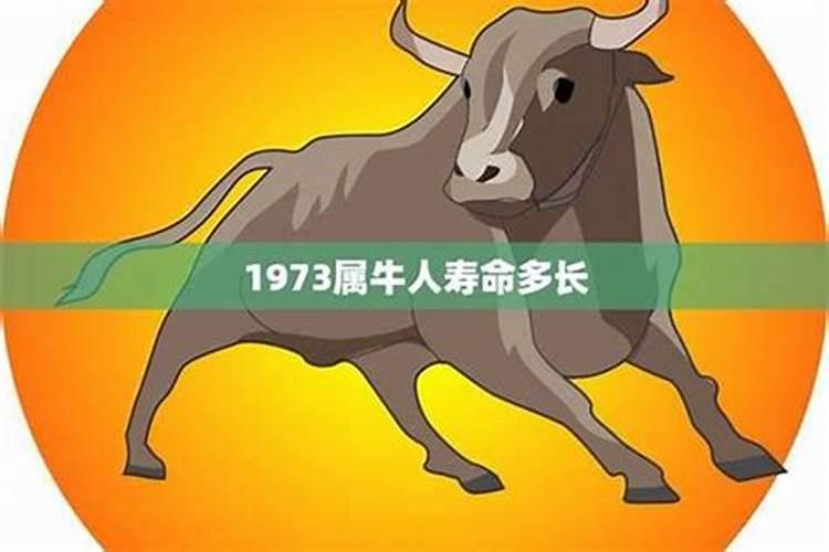 85年属牛36岁财运