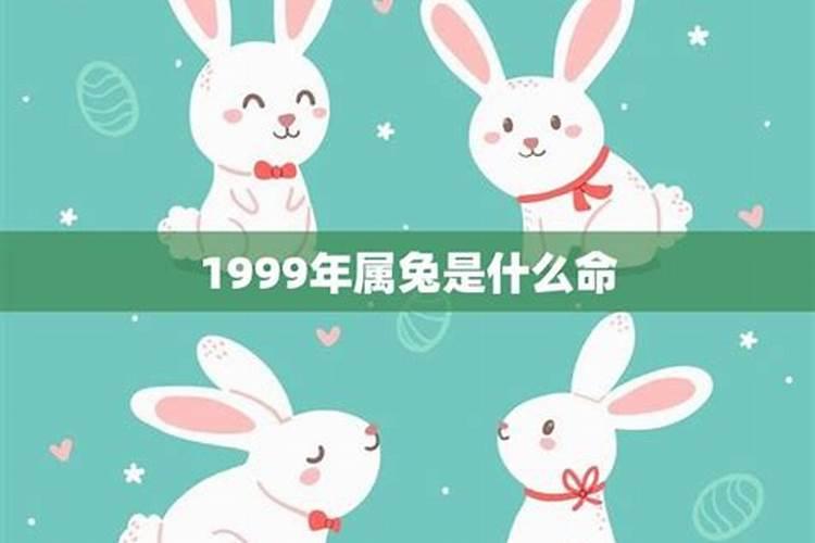 1999年属兔人一生命运