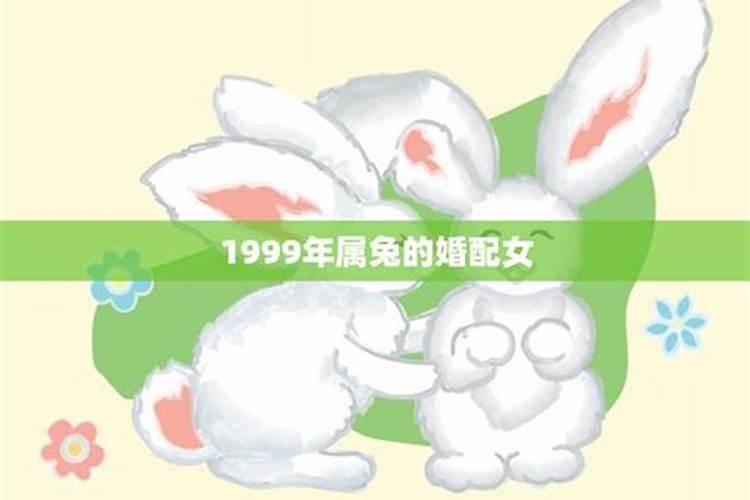 1999年属兔的一生运势怎么样