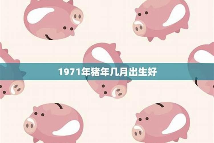 71年农历正月十二出生属猪人一生的命运