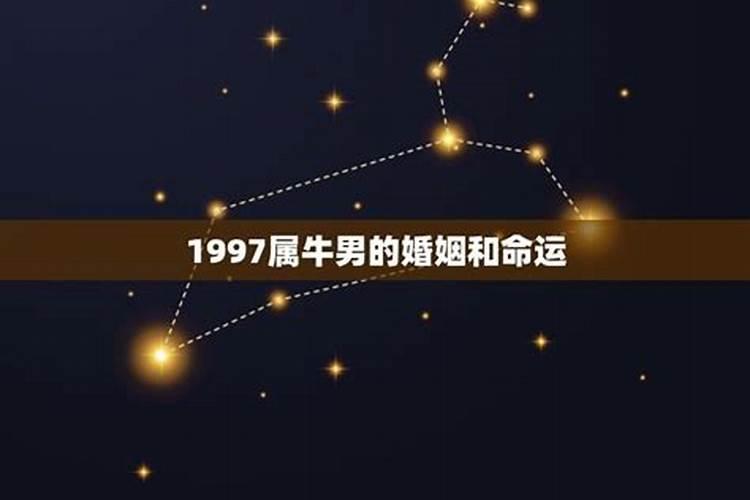 1997属牛男的婚姻和命运