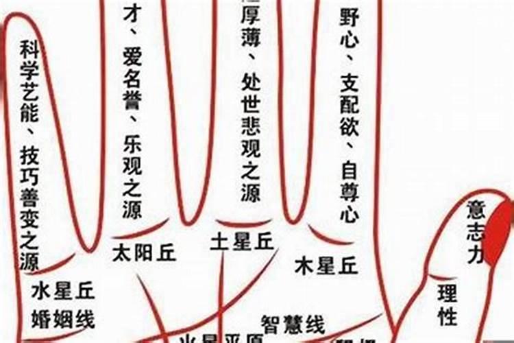 八字命局中，两个相同的天干同时出现时为什么时干反断，有时年干也反断_56