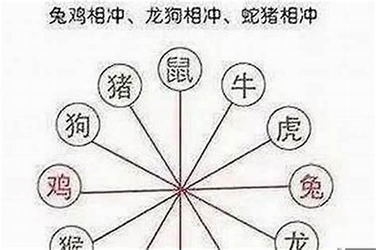 八字中酉戌相害会怎么样