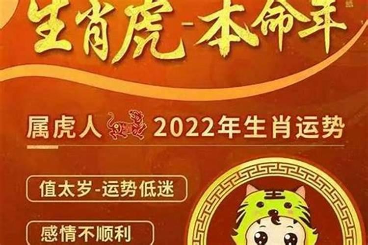 2022犯太岁五大生肖