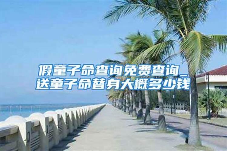 还童子命替身多少钱