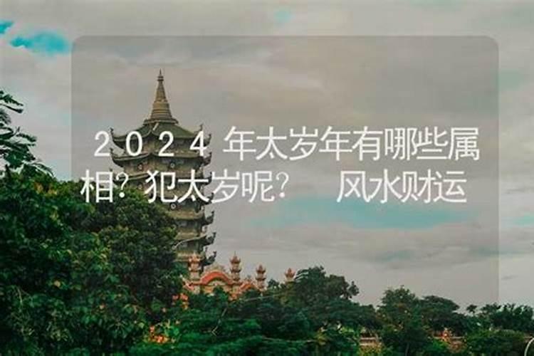 2024年哪个属相忌太岁