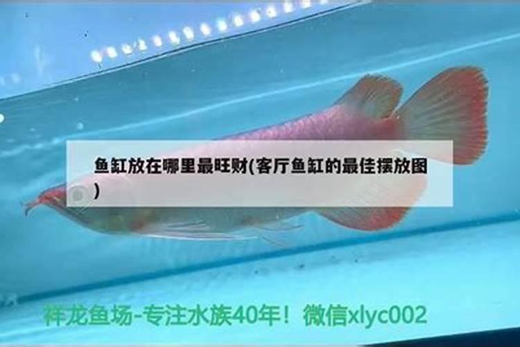 鱼缸放在哪个方位比较聚财