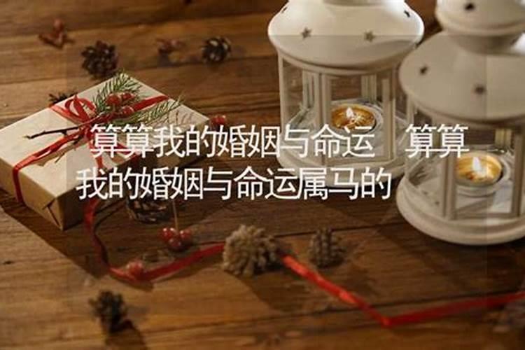 算我的婚姻怎么样