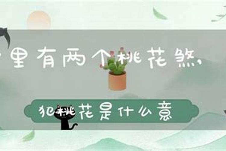 八字有二合桃花运旺吗