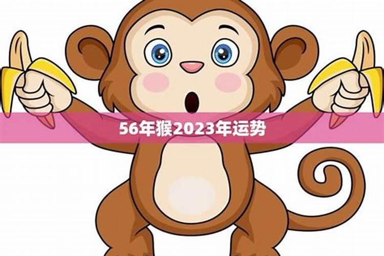 查看2023年的运势