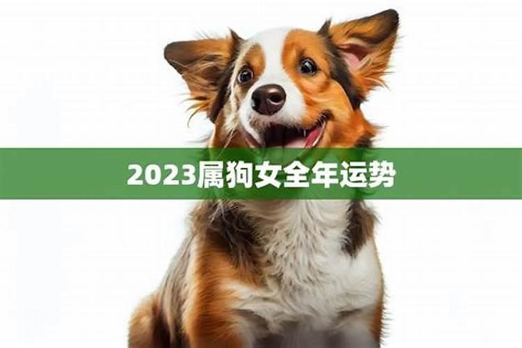 2023年属狗