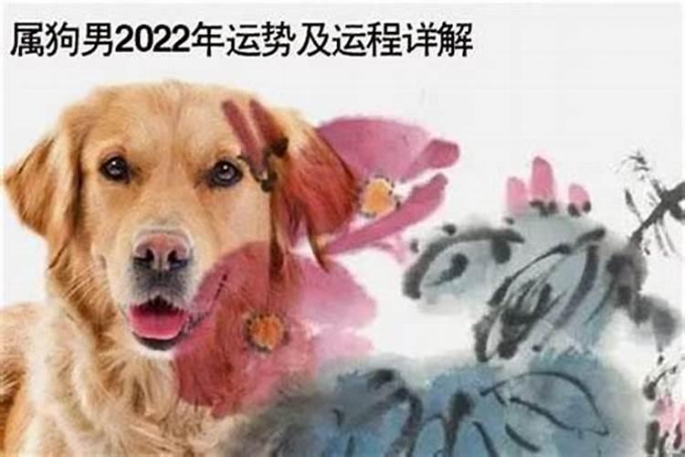 2023年狗年运势及运程