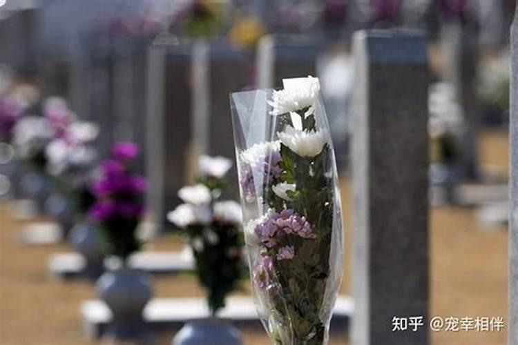 人死了安葬的地方叫什么