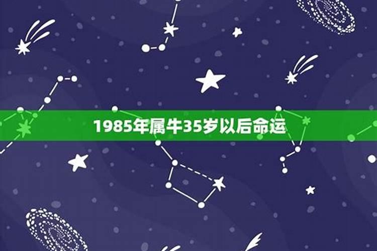 为什么85属牛人36岁转