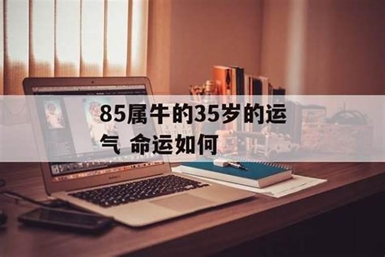 85属牛的36岁