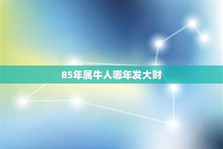 85属牛的36岁