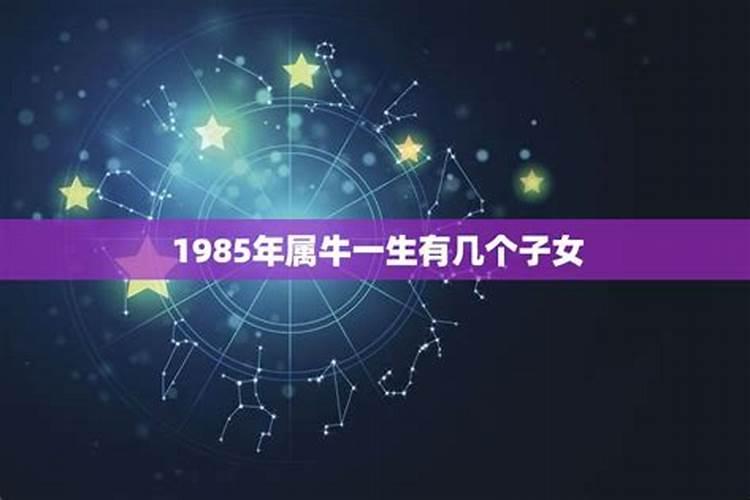 为什么85属牛有几个孩子