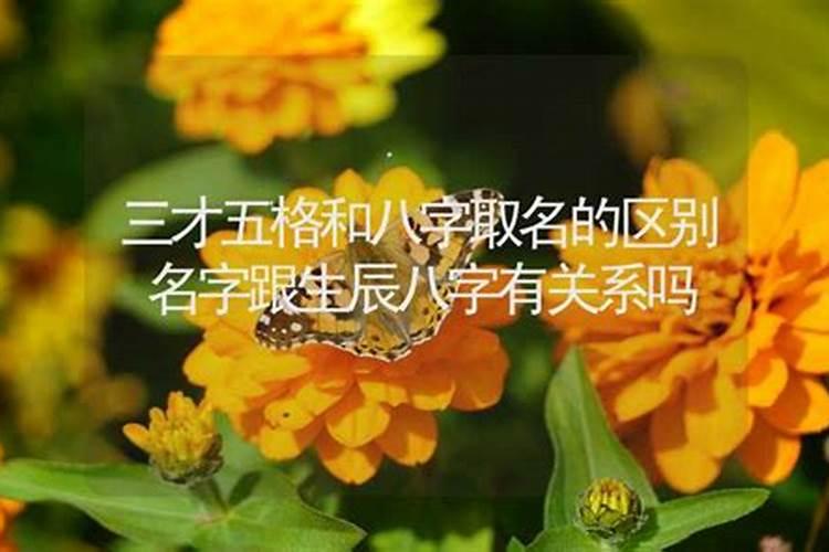 怎样解读生辰八字