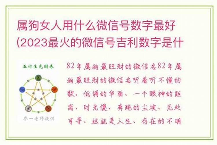 属狗的吉利数字有哪些