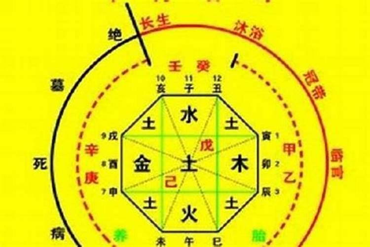 八字算命入畜道准吗