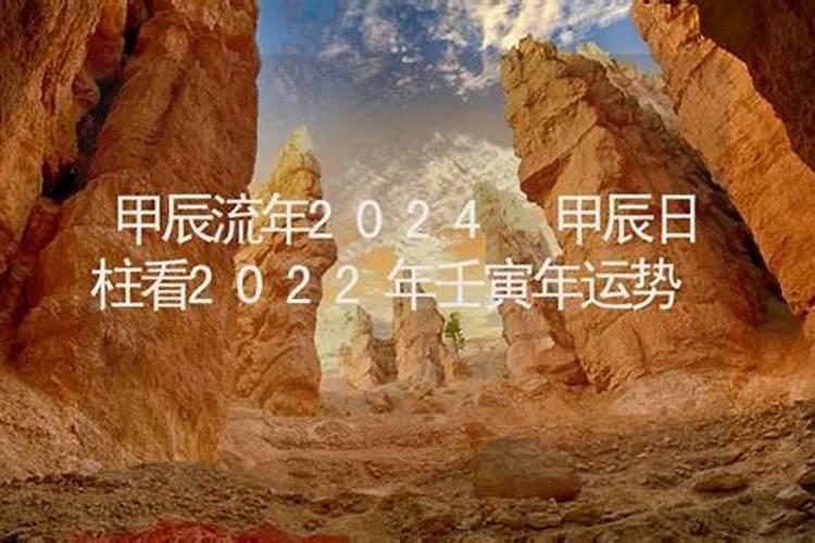 2024年壬寅