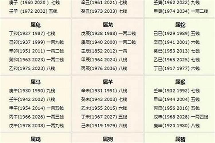 算命几钱几两2024年