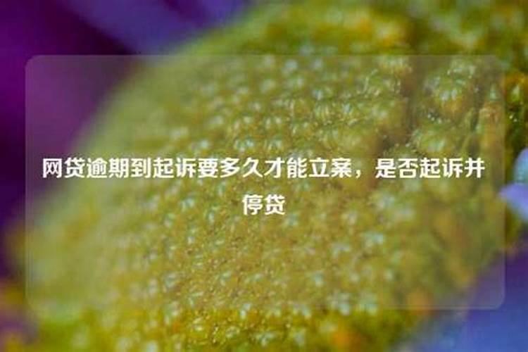 婚姻起诉要多长时间