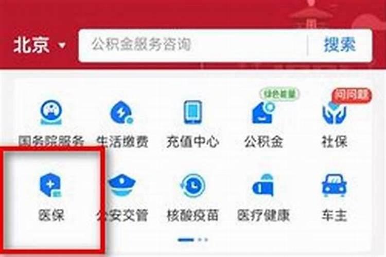 大学生医保查询怎么查询