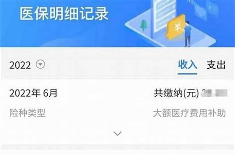 大学生医保查询怎么查询