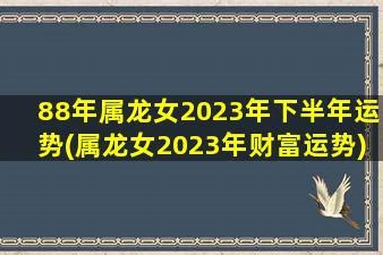 88属龙女佩戴什么招财进宝