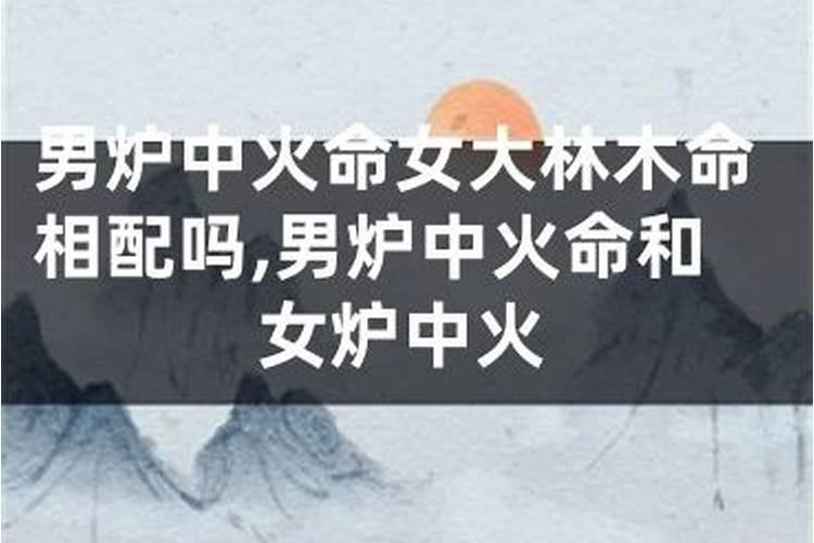 大林木命和炉中火命合婚吗