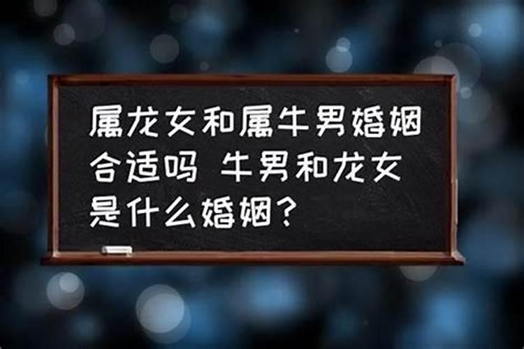 属相男牛女龙婚配好吗