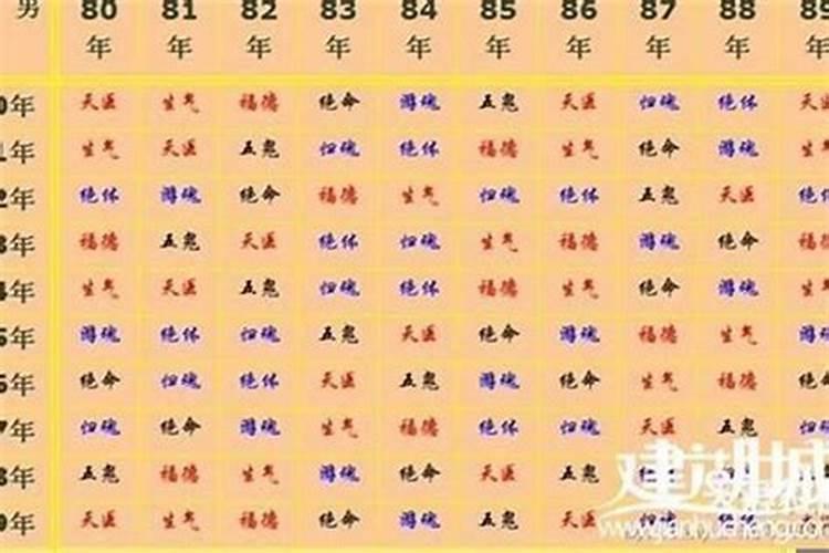 什么叫延年金八字婚配