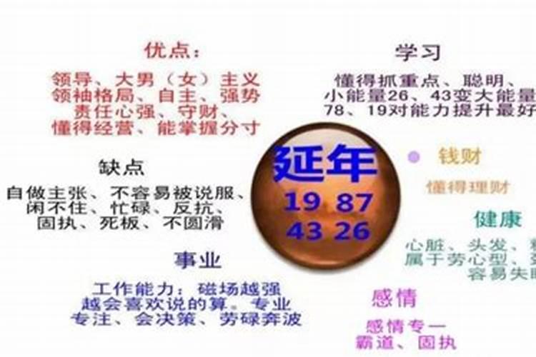 什么叫延年金八字婚配