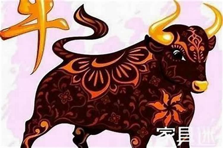 本命年牛年要注意什么2021