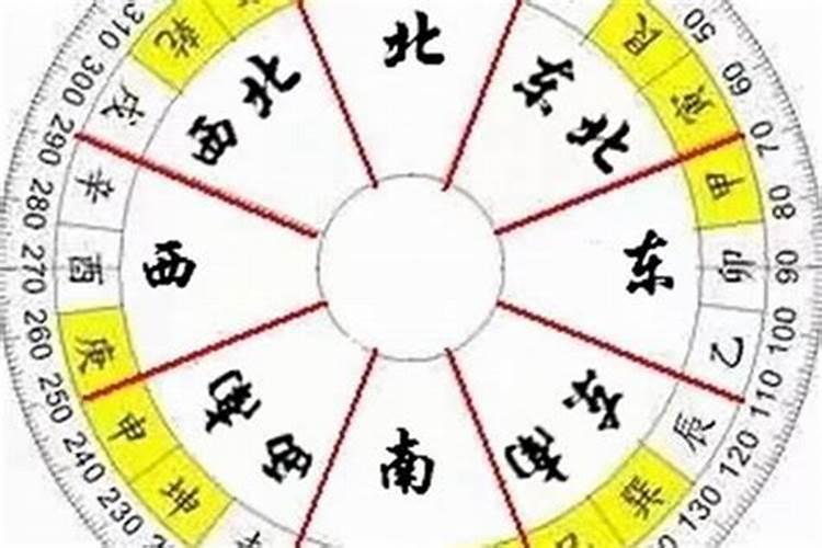 属猴和属龙八字合吗