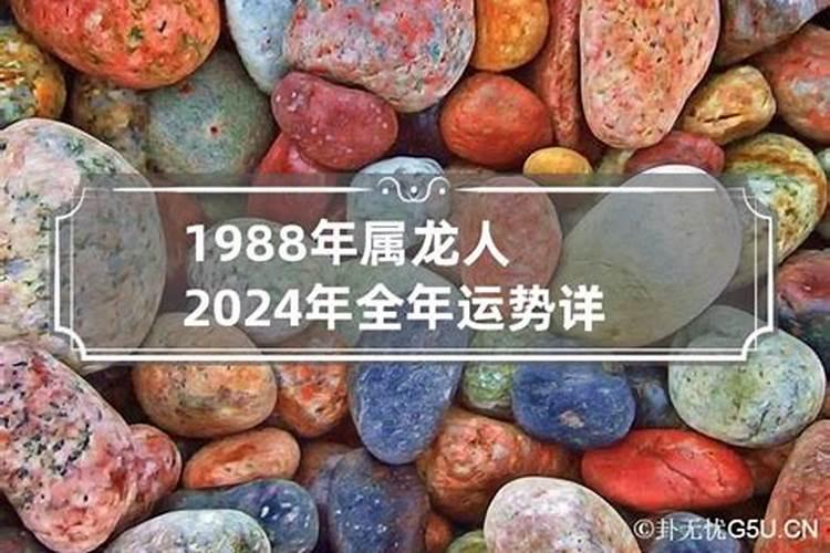 1988年属龙2024年本命年