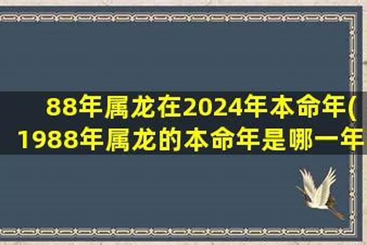 88年今年是本命年吗